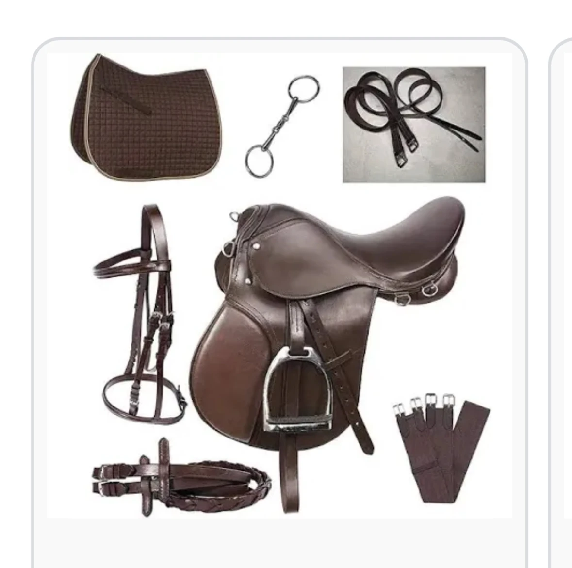 Need horse rider equipment