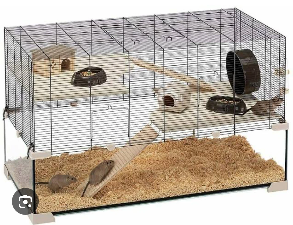 Need rodent cage